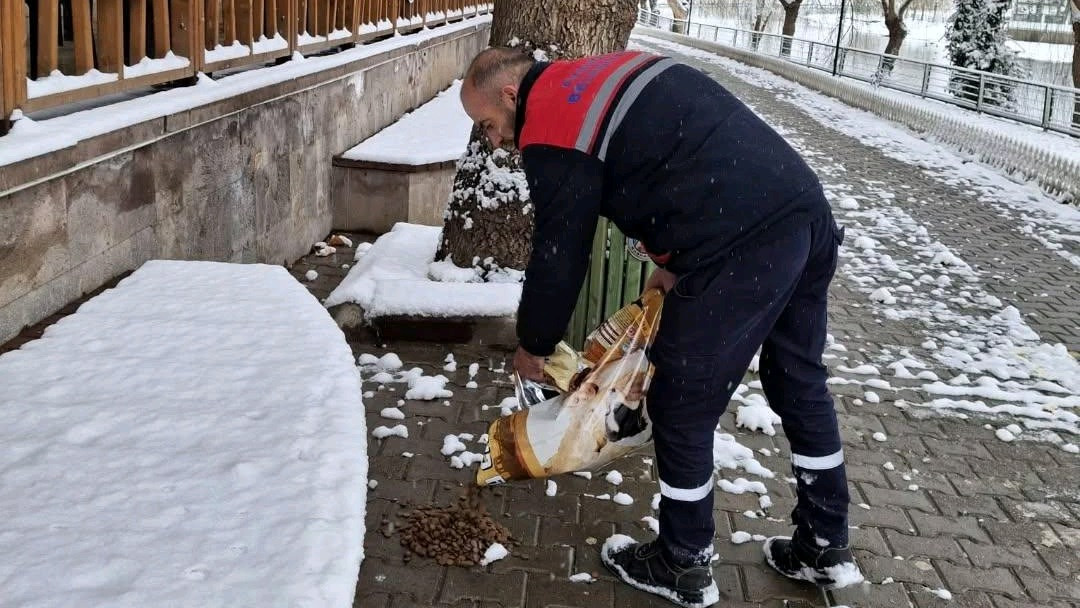 Avanos Belediyesi Sokak Hayvanları İçin Seferber Oldu